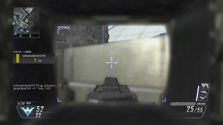 【Bo2 PS5版】仲良くTDMやるだけの動画 