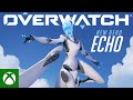 Overwatch Hero | Echo