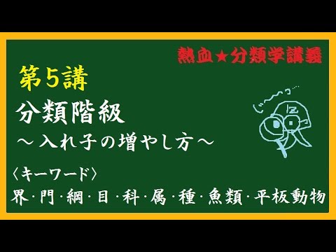 Teleosti (系統分類)について詳しく解説