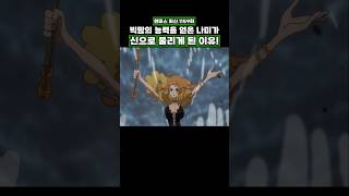 최신화) 빅맘의 능력을 얻은 나미가 신으로 불리게 된 이유! #onepiece #원피스