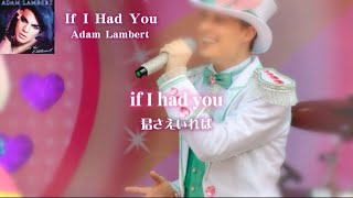 ［意訳］If I Had You - Adam Lambert 〈クロミライブ使用曲〉