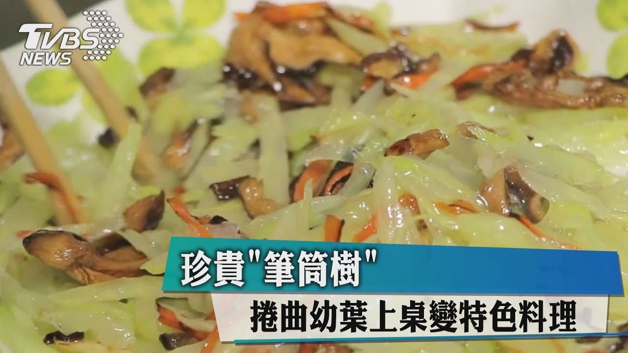 珍貴「筆筒樹」 捲曲幼葉上桌變特色料理