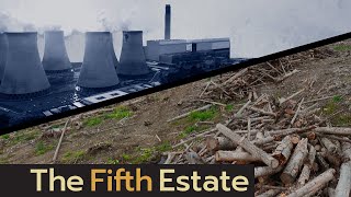 Why wood from B.C. forests is burning to fuel U.K. energy needs - The Fifth Estate