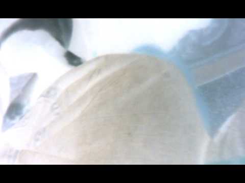 December 18, 2016 1:56 PM