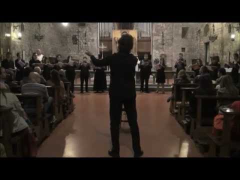 Coro Giovanile Italiano 2011/13 - Cade la Sera - Pizzetti.wmv