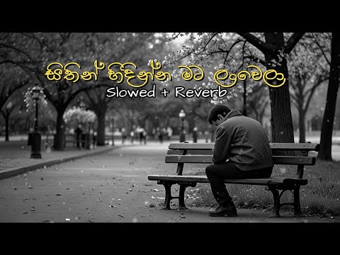 Sithin Hindinna Mata Lanwela (Slowed + Reverb)  සිතින් හිදින්න මට ලංවෙලා 2024