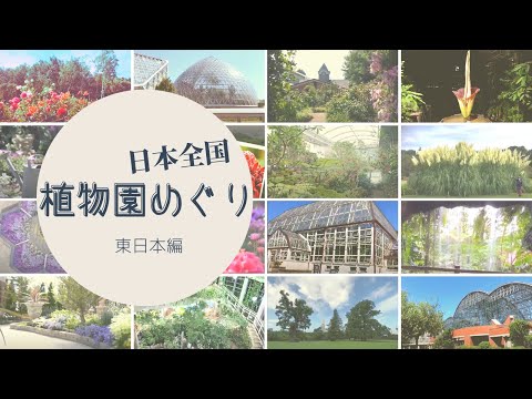サー・シウサガル・ラングーラム植物園について詳しく解説
