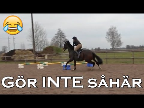 SÅ BLIR DU EN BÄTTRE HOPPRYTTARE - Stallvlogg med våra bästa tips!