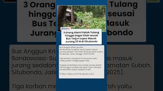 Download lagu Bus Anggun Krida Terperosok Masuk Jurang 20 Meter, Diduga Tak Kuat Libas Tanjakan, Korban Luka Parah mp3