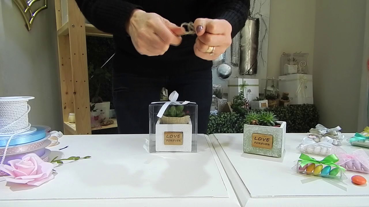 Bomboniere solidale pianta grassa