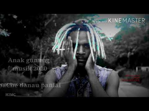 H2MC DJ TERBARU 2020  OFFICIAL ANAK GUNUNG APC BOYS Nxn Apc.