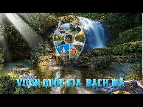 Slide Vườn Quốc Gia Bạch Mã - Kho Báu Sinh Thái Miền Trung thumbnail