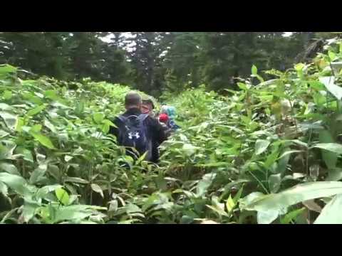 千島列島 国後島 羅臼山