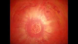 THE JOURNEY TO YOUR SOUL