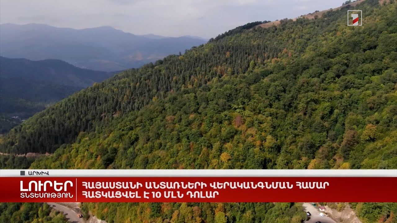 Հայաստանի անտառների վերականգնման համար հատկացվել է 10 մլն դոլար