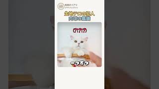 生地テロの犯人肉球の鑑識