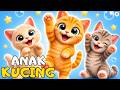 Kitten Meow Meow A Cheerful And Funny Children S Song