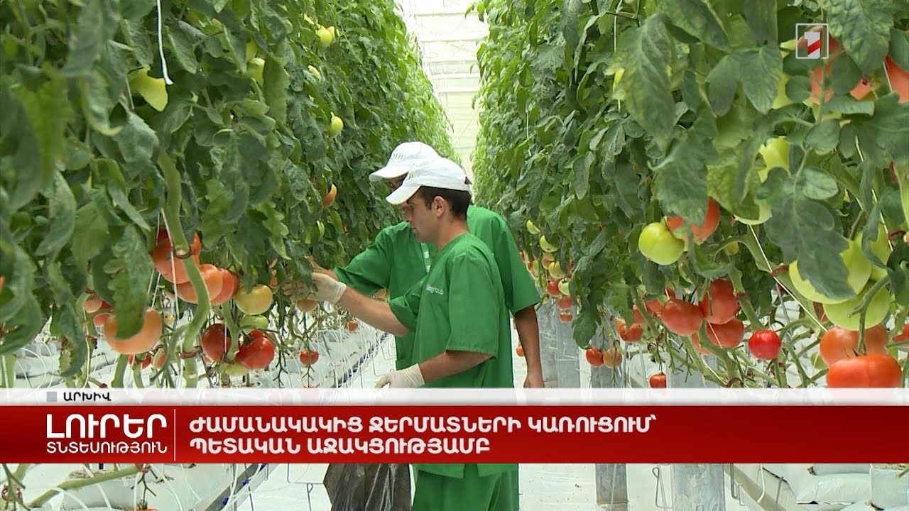 Ժամանակակից ջերմատների կառուցում՝ պետական աջակցությամբ