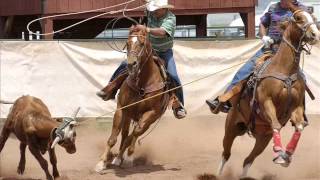 Don Gibson il Cow Boy (di L. Carta)