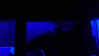 【カバー】溺れる魚　/ me-al art  by MK(IN MY OPINION)