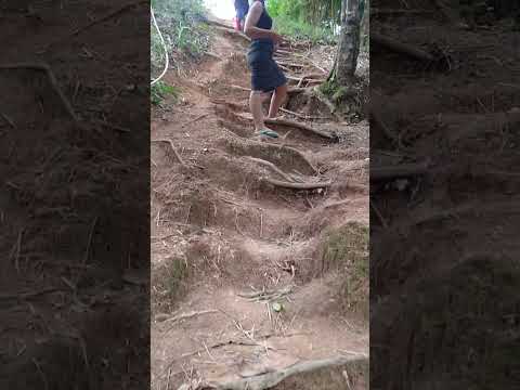 a vida em joanésia Minas gerais