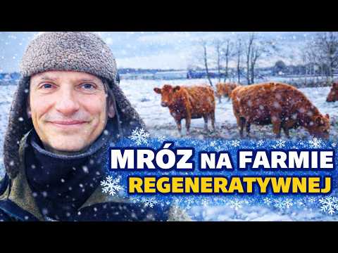 Ramsey United and Lubuskie Angusowo