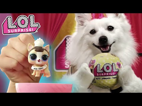 Миниатюра изображения товара Аксессуар для куклы LOL Original Surprise Pets / 550747
