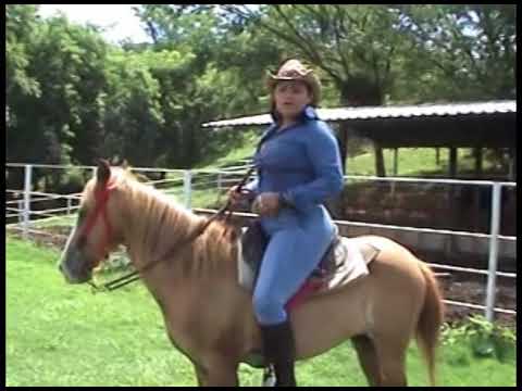 Elisa Guerrero   El llanero que es Llanero