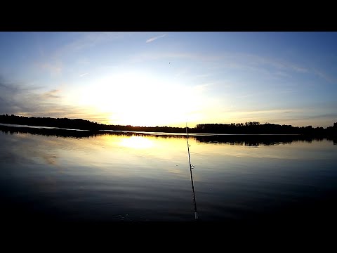 How to catch an eel/eel method/guide