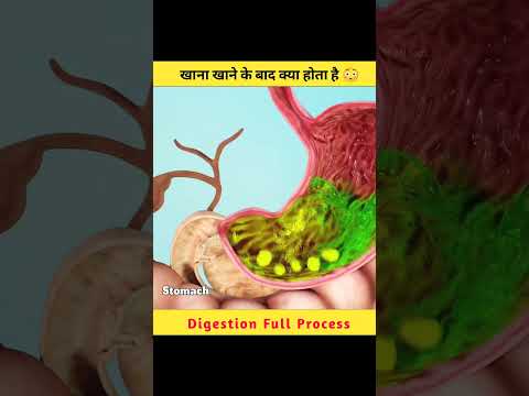 What happens in the stomach after eating food 😳. Digestion Full Process #Mjfactz #shorts.
