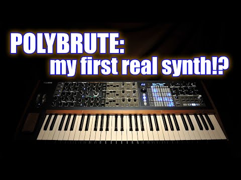 PolyBrute: My first real synth!?