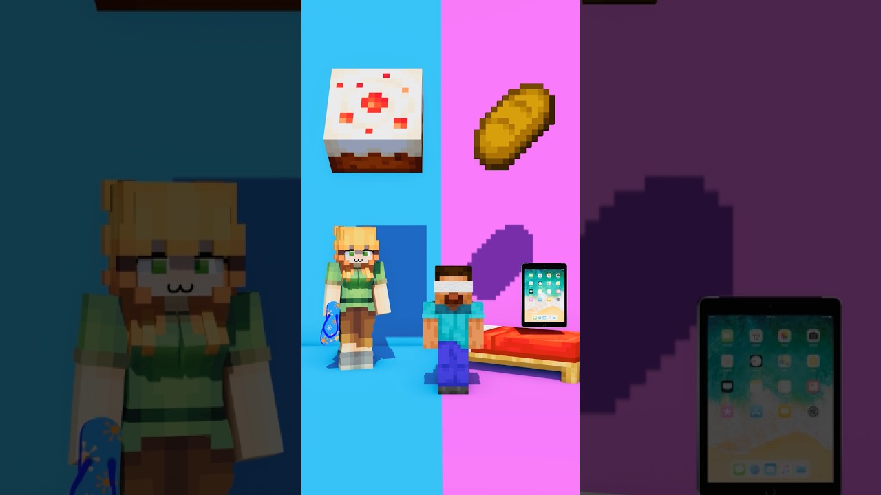 Home or school - Steve chooses home 😂