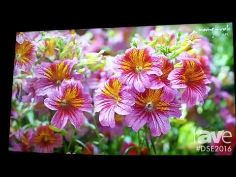 DSE 2016: NEC Shows Off X5551UHD 4K@60Hz Display