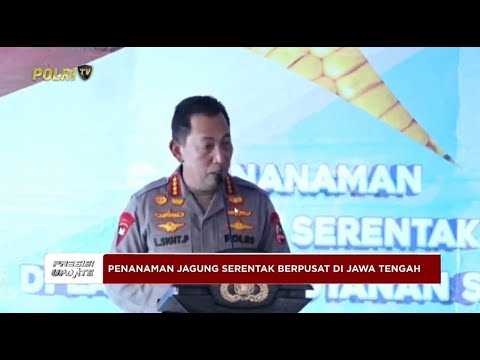 PRESISI UPDATE: PENANAMAN JAGUNG SERENTAK KUARTAL III 09/07/2025 14.00 (1/2)