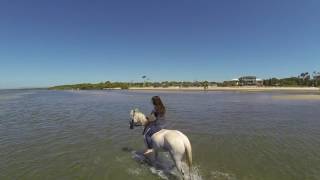 LIBRE. Eres tal como Dios te creo.