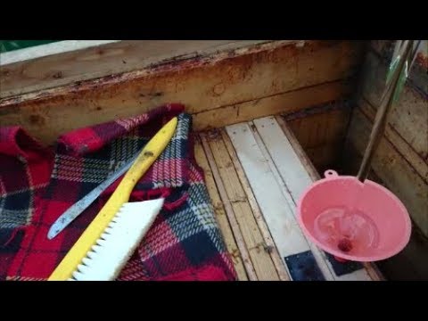 W pasiece odc. 10- Ostatnie miodobranie i karmienie na zimę