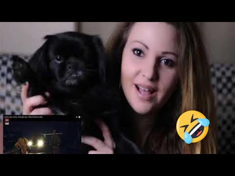 Livin R x DARA x Noisy - BTW (Bye, Bye) Reaction