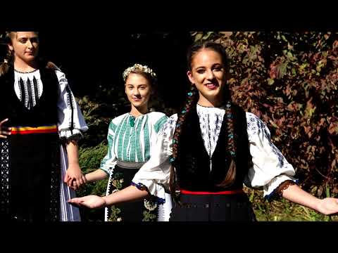 IOANA AGARBICEAN - AUZITI FECIORI CU TUNDRA