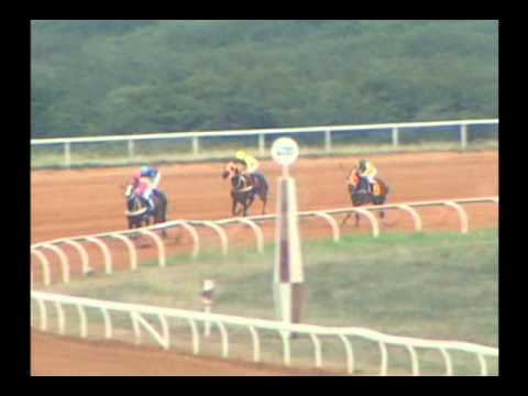 3ra. Carrera Jueves 17 de Octubre de 2013 SANTA RITA