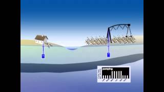 The Interactive Roles of Surface Water & Groundwater