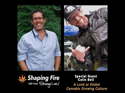 Shaping Fire Ep. 45 - A Look at Global Cannabis Growing Culture with Colin Bell