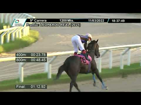 220311 c09 - EL SORPRESIVO - HIPODROMO LAS PIEDRAS