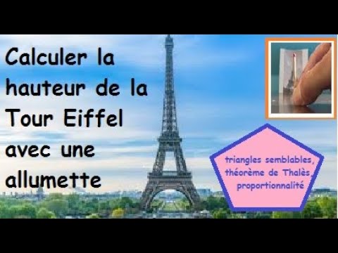 Calculer la hauteur de la tour Eiffel (triangles semblables, théorème de Thalès, proportionnalité)