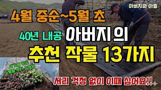 4월중순~5월초에 심는 아버지의 추천작물 13가지 서리 걱정 없이 이때 심으면됩니다 #텃밭농사 #4월에심는작…