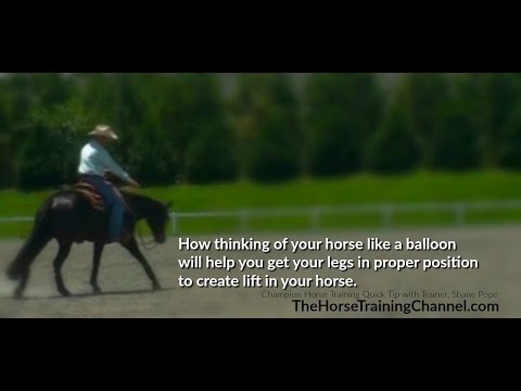 Western Pleasure Training Tip: Get More Lift In Your Show Horse For Correct, Slow Movement