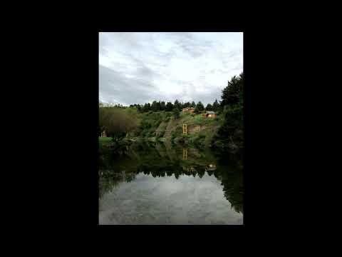 8 Hours of Birds Singing on the Lakeshore and Water Sounds - Relaxing Nature Sounds