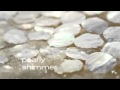Garnier NEW Ambre Solaire Golden Protect TV Ad From Garnier