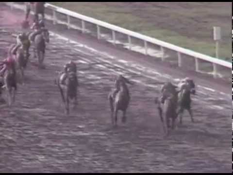 Clásico del Caribe 1990 - Don Fabián (VEN)