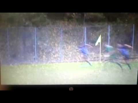 Rugby Petrosani-Baia Mare