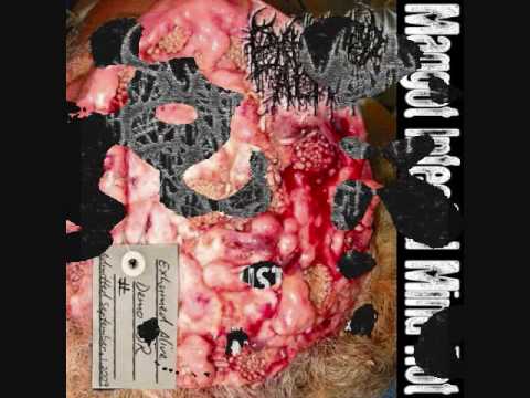 Exhumed Alive - The Nature of Maggots